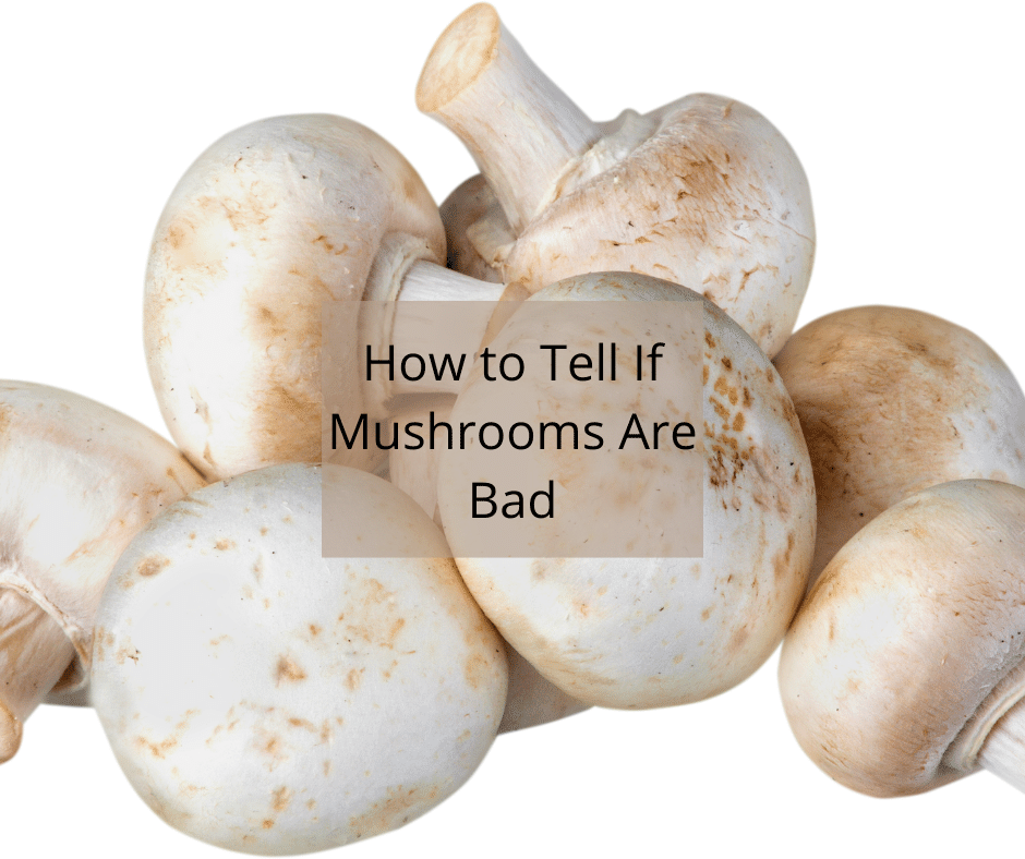 How to Tell If Mushrooms Are Bad