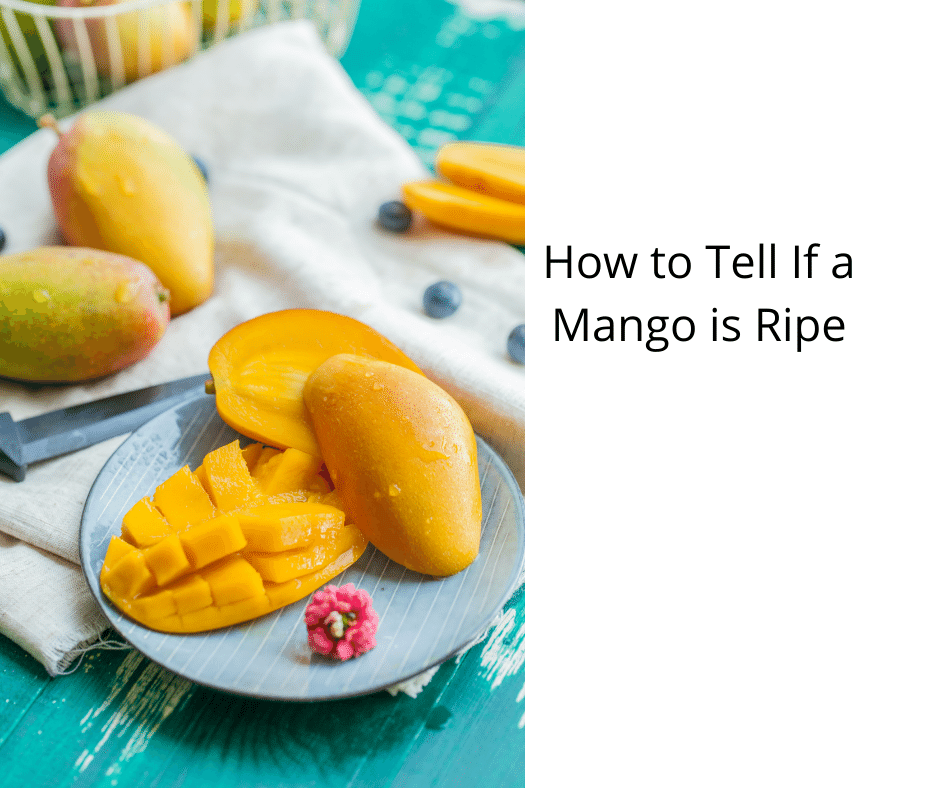 How to Tell If a Mango is Ripe