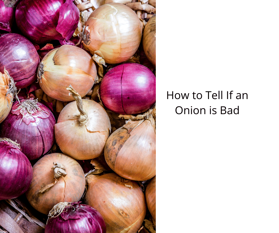 How to Tell If an Onion is Bad