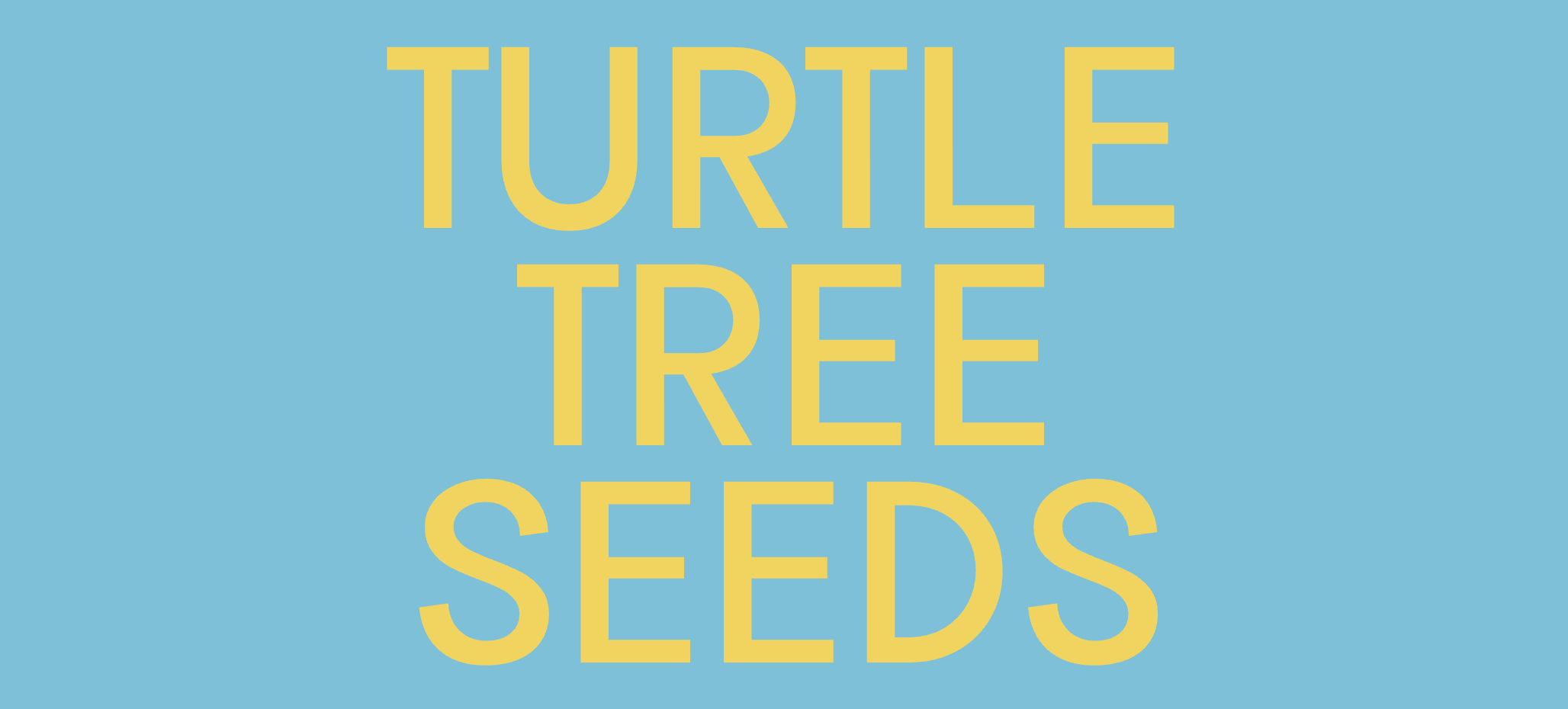 Turtle Tree Seeds