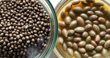 chia and basil seeds