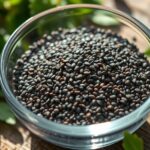 chia seeds aid weight loss