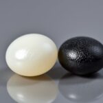 color difference in chia seeds