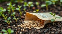 seed packet gardening tips
