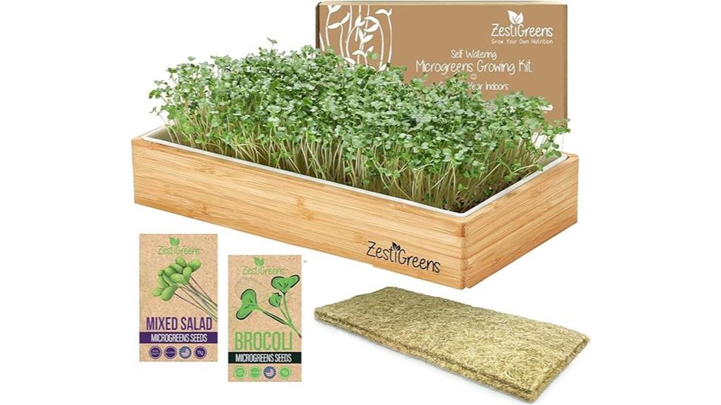 automatic watering microgreens kit