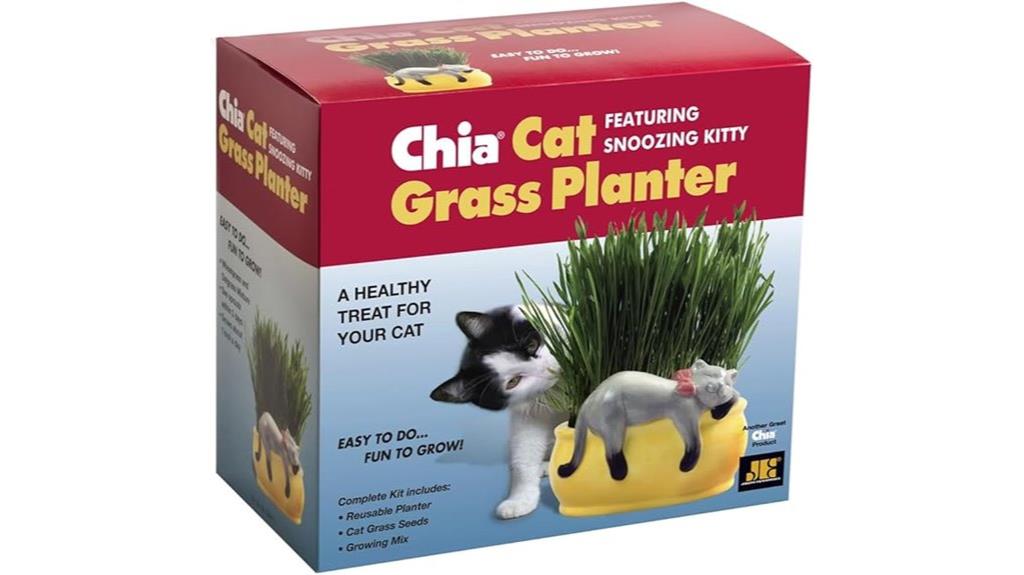 kitty cat grass planter