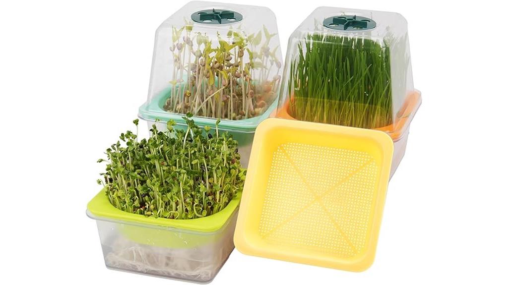 microgreen trays with dome