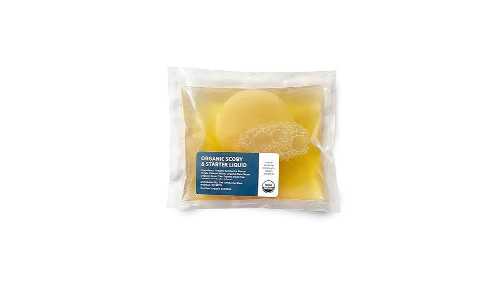 organic scoby brewing kit
