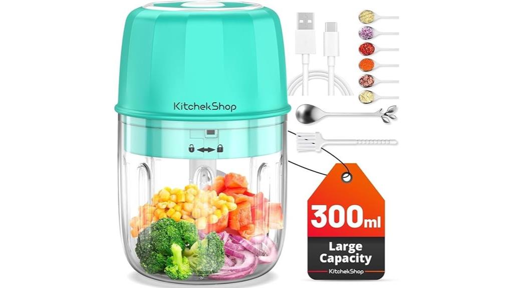 portable rechargeable food processor