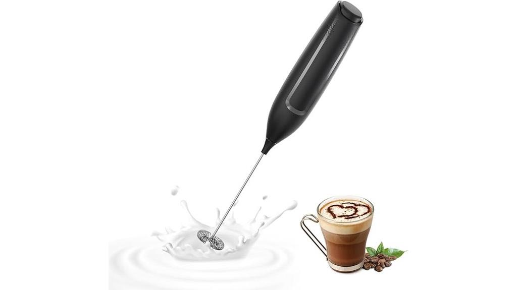 portable stainless steel frother