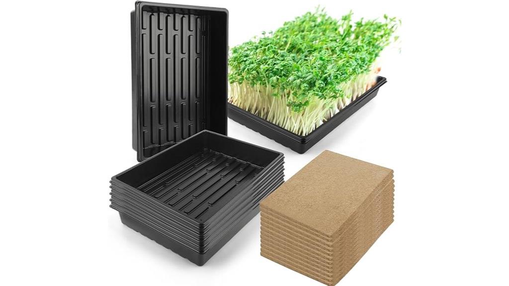 six microgreens grow trays