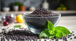 top chia protein isolates