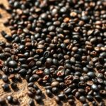 top chia seeds for health