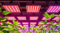 top indoor grow light panels