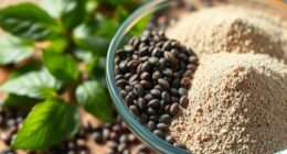 top nutritional chia powder