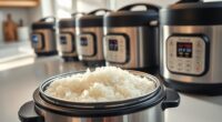 top rice cookers with porridge