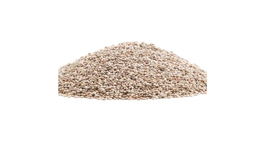 white chia seeds four pounds