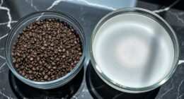 chia gel aids digestion