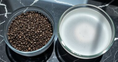 chia gel aids digestion