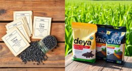 chia seed cultivar history