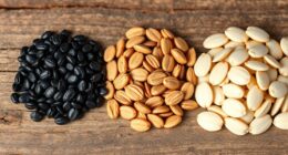 nutritional comparison of seeds