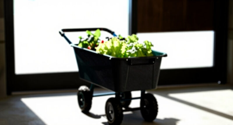 10 Best Garden Carts for Harvest and Planting in 2026