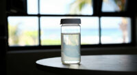 10 Best Probiotic Fermenters For Home Kitchens In 2026