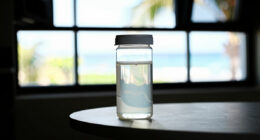 10 Best Probiotic Fermenters For Home Kitchens In 2026
