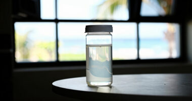 10 Best Probiotic Fermenters For Home Kitchens In 2026