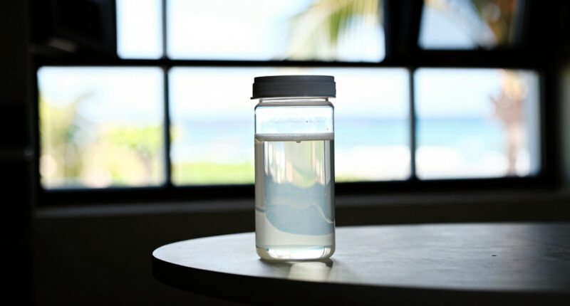 10 Best Probiotic Fermenters For Home Kitchens In 2026