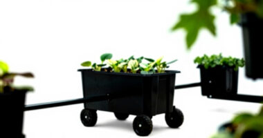 10 Best Rolling Plant Carts for Greenhouse Mobility in 2026