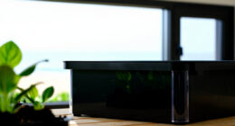 11 Best Indoor Garden Systems for Edible Plants in 2026