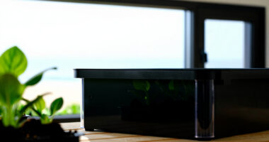 11 Best Indoor Garden Systems for Edible Plants in 2026