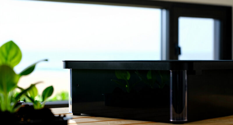 11 Best Indoor Garden Systems for Edible Plants in 2026