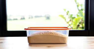 11 Best Ingredient Bins for Bulk Gluten-Free Baking in 2026