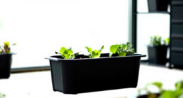 11 Best Self-Watering Planters for Edible Patios in 2026