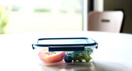 12 Best Best Bento Boxes For Healthy Breakfast Transport In 2026