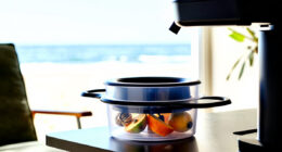 12 Best Dehydrator Accessories for Fruit and Seed Prep in 2026