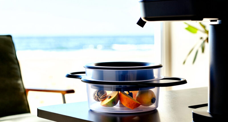 12 Best Dehydrator Accessories for Fruit and Seed Prep in 2026