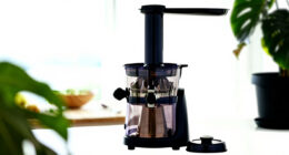 12 Best Premium Juicers for Plant-Based Households in 2026