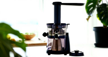 12 Best Premium Juicers for Plant-Based Households in 2026