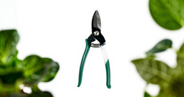 12 Best Pruning Shears for Herb and Seed Gardens in 2026