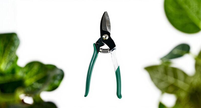 12 Best Pruning Shears for Herb and Seed Gardens in 2026