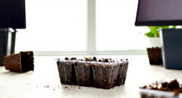 12 Best Soil Blockers for Seed Starting in 2026