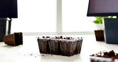 12 Best Soil Blockers for Seed Starting in 2026