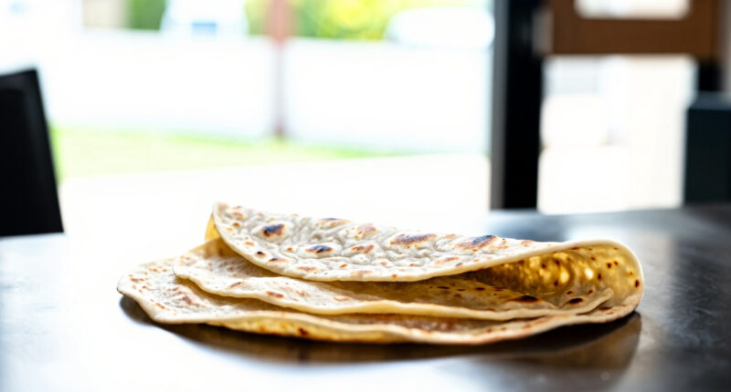 12 Best Tortilla Presses for Gluten-Free Wraps in 2026