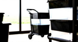 12 Best Utility Carts for Garden Harvests in 2026
