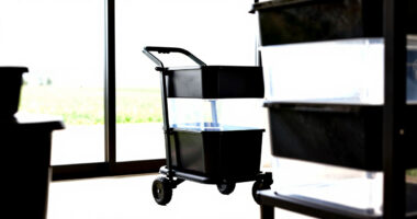 12 Best Utility Carts for Garden Harvests in 2026