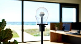 12 Best Weather Stations for Backyard Growers in 2026