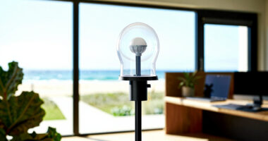 12 Best Weather Stations for Backyard Growers in 2026